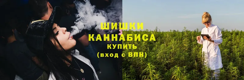 Шишки марихуана OG Kush  Кимры 